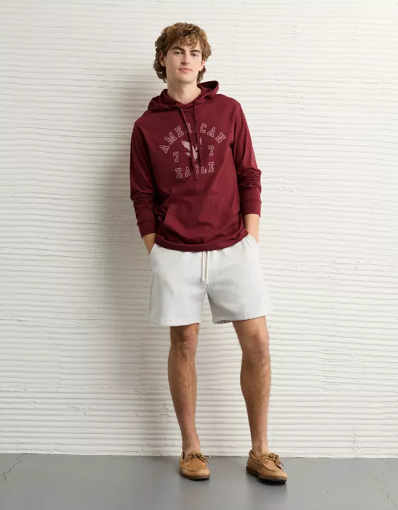 AE Lightweight Icon Logo Graphic Hoodie T-Shirt - Image 4