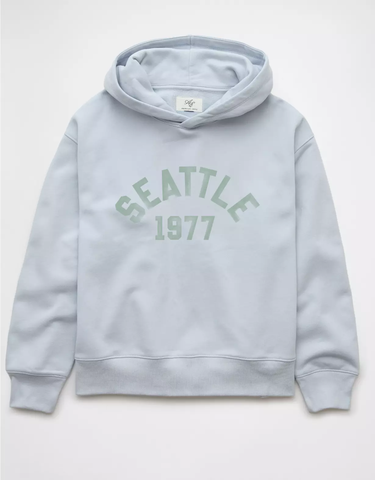 AE Everyday Luxe Graphic Hoodie