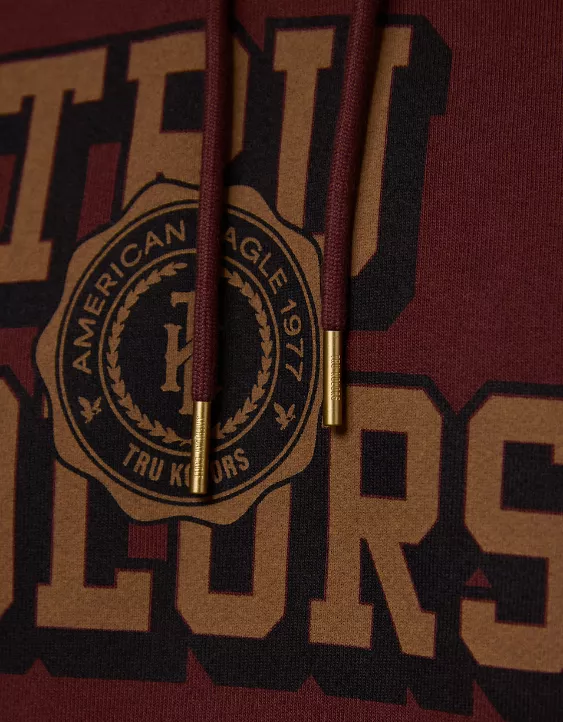 AE x Tru Kolors Heavyweight Graphic Hoodie - Image 8