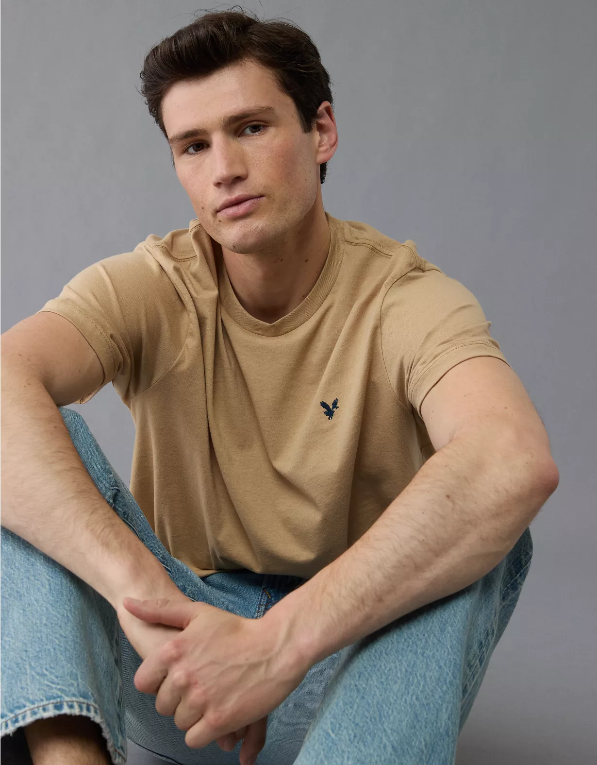 AE Lightweight Icon T-Shirt