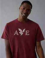 AE Lightweight Icon Logo Graphic T-Shirt