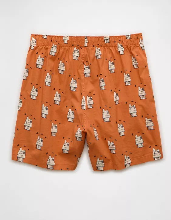 AEO Snoopy Cobweb Boxer Short - Image 4